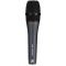 Sennheiser E 865 | ไมโครโฟนแบบคอนเด็นเซอร์ Condenser microphone Supercardioid Polar Pattern