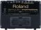 Roland KC-110 | Stereo Keyboard Amplifier