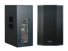 NPE PT-300A-MP3